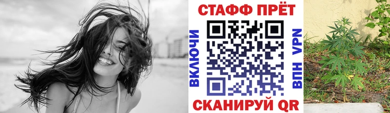 Магазины продажи наркотиков Сенгилей Альфа ПВП  mega вход  ТГК  Амфетамин  ГАШ  Меф  Канабис 