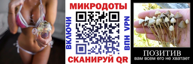 Галлюциногенные грибы мухоморы  Сенгилей 