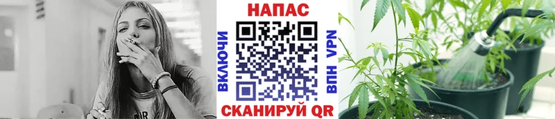 как найти закладки  Сенгилей  МАРИХУАНА конопля 